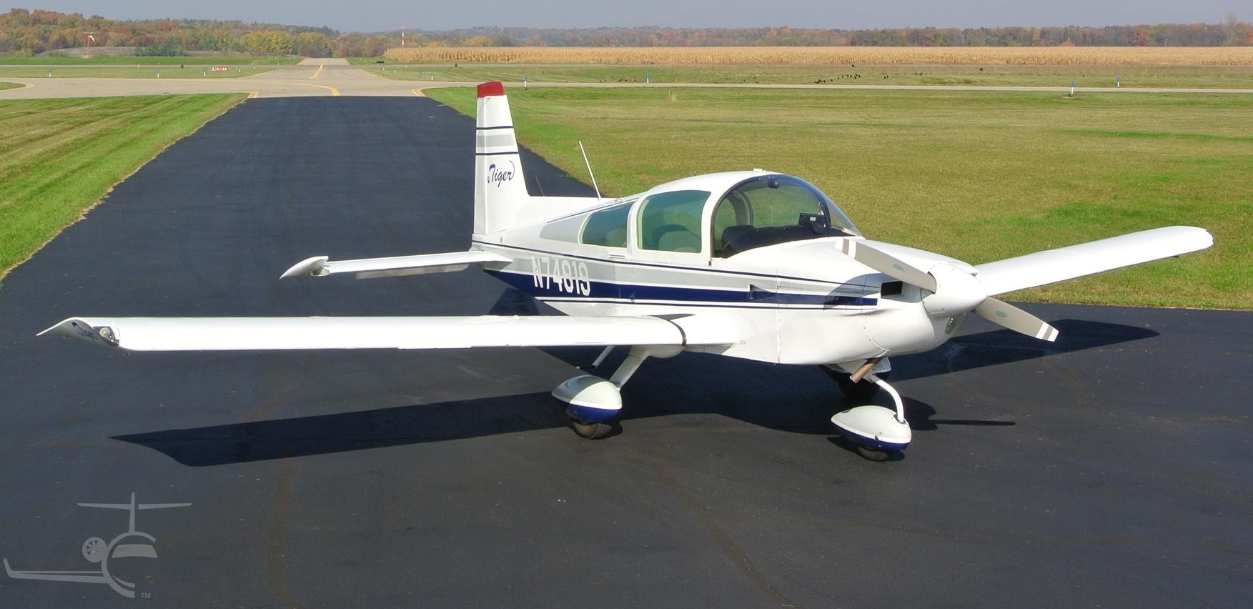 Flying Image